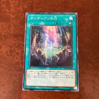 ガーディアンの力 ノーマル JP060