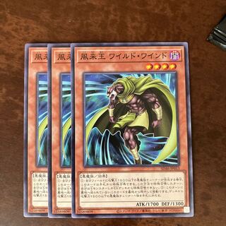 風来王 ワイルド・ワインド ノーマル JP013 1枚