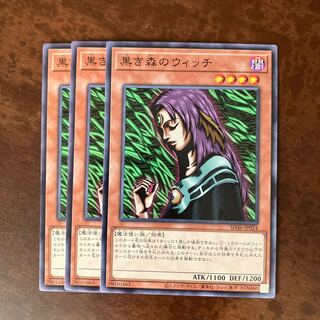 Witch of the Black Forest Normal JP014