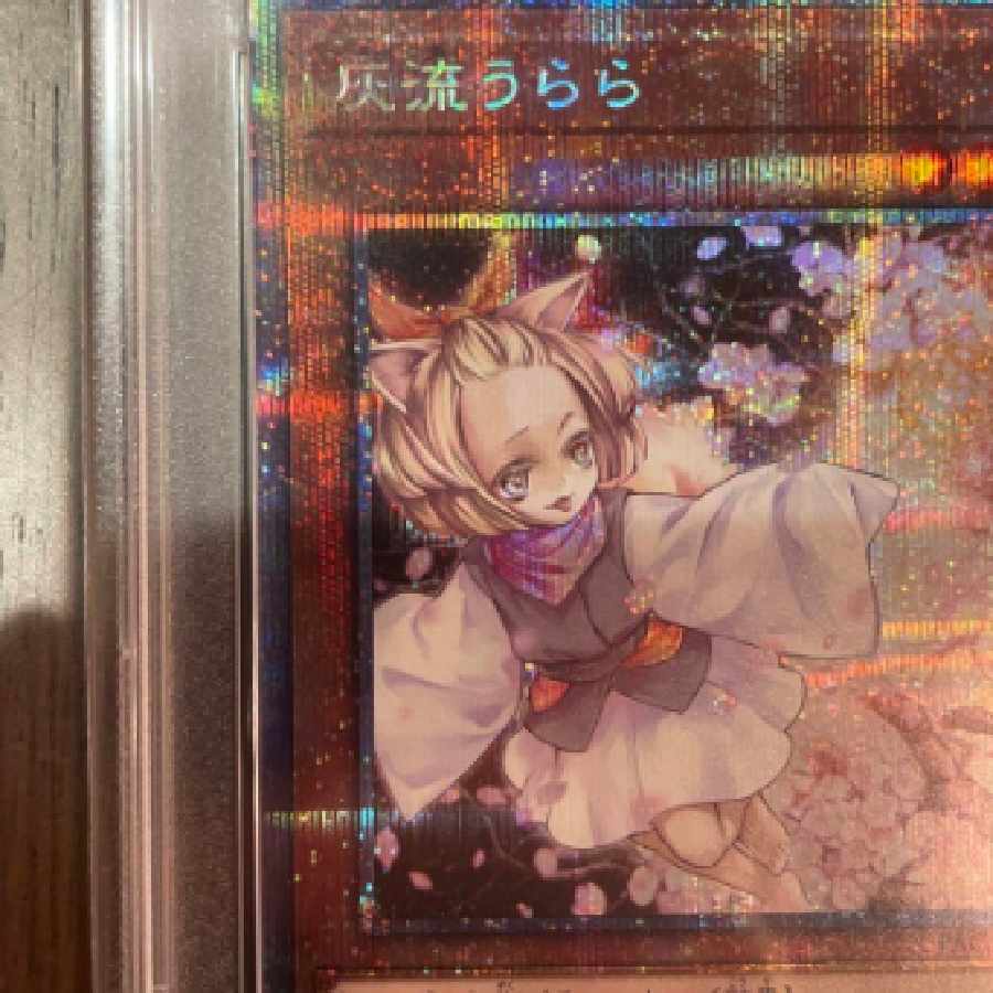 遊戯王 灰流うらら プリズマ PSA10