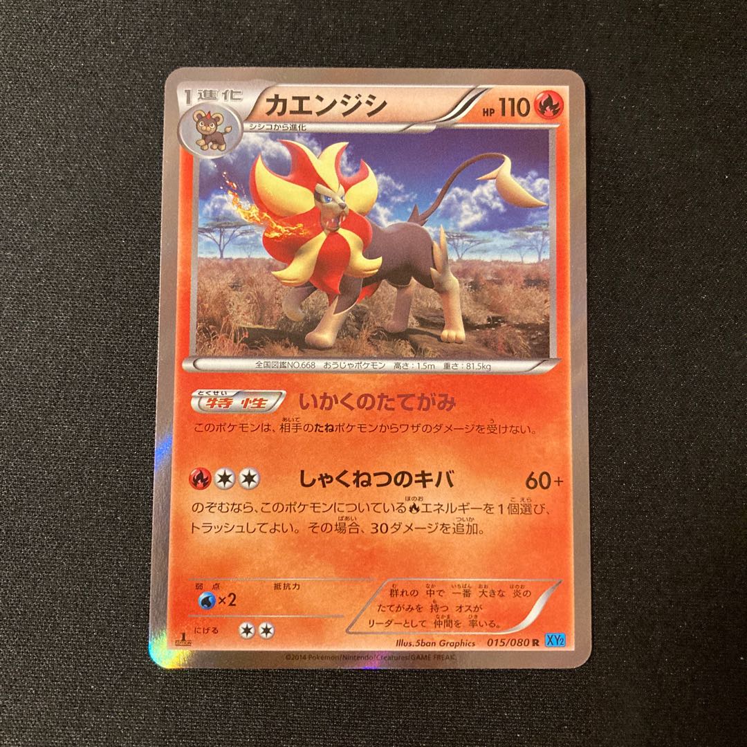 h251 Pyroar 1ED Kira XY2 015/080 R Pokémon Treasurer