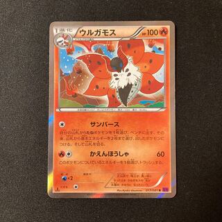 h261 ウルガモス 1ED キラ XY7 017/081 R ポケモン トレトレ