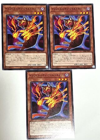 インフェルニティ・ワイルドキャット 【ノーマル 】JP017