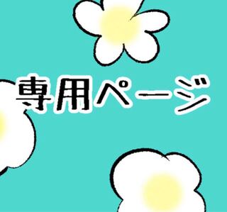 専用 1枚