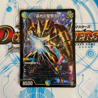 「雷光の聖騎士」ライトニングソードパラディン