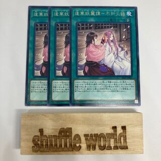 Ai Hua Yoryo Tan - Unknown Fire Words 1087