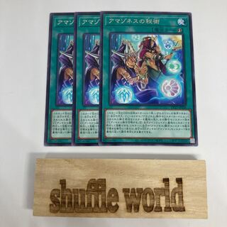 アマゾネスの秘術　1093