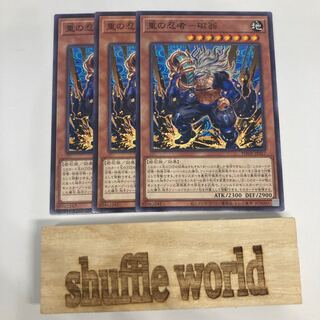 重の忍者-磁翁 1130