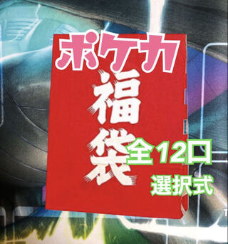 2口購入用　ポケカ福袋