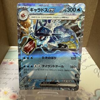 Pokeka [Gyaradosex] RR