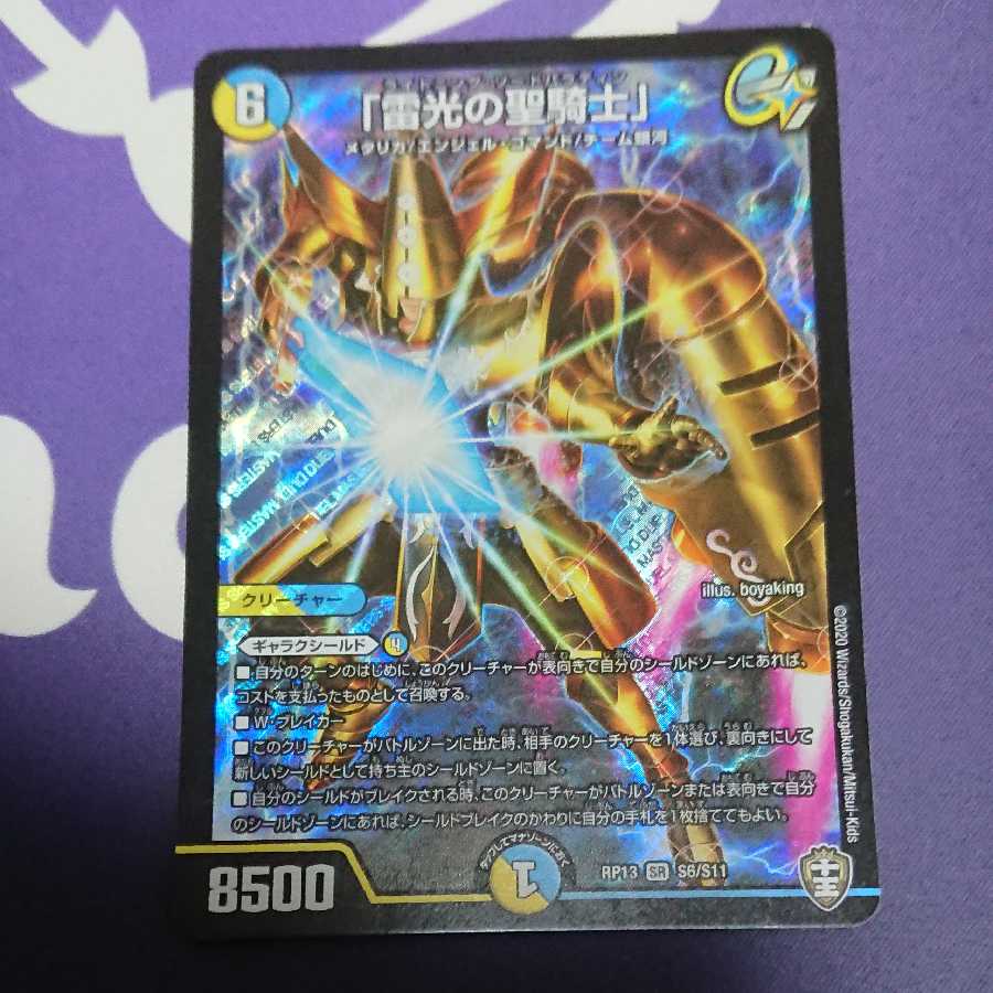 「雷光の聖騎士」 ライトニング・ソードパラディン