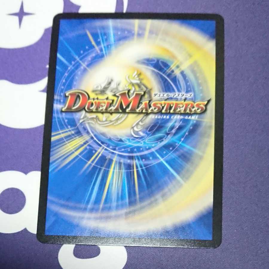 「雷光の聖騎士」 ライトニング・ソードパラディン