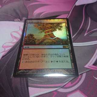 foil 根縛りの岩山