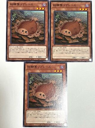 枯鰈葉リプレース 【ノーマル 】JP029