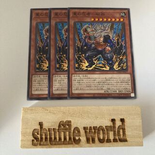 重の忍者-磁翁 1131