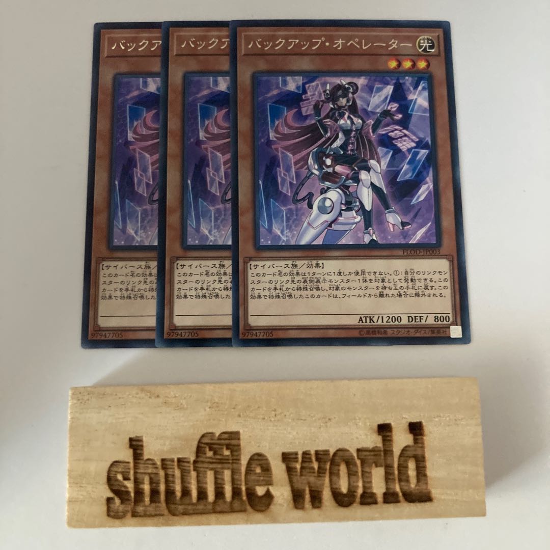 バックアップ・オペレーター 1161