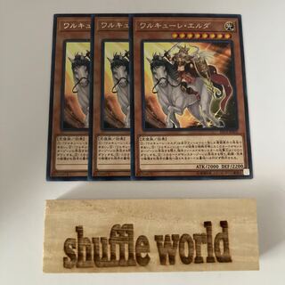 ワルキューレ・エルダ 1163