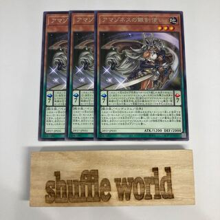 アマゾネスの銀剣使い　1181