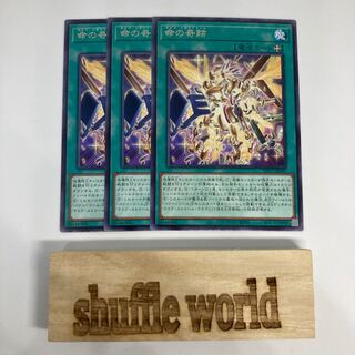 Miracle of life 1182