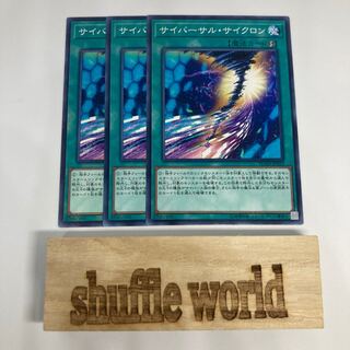 サイバーサル・サイクロン 1193