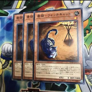 番描ウォッチキャット 3枚 3枚