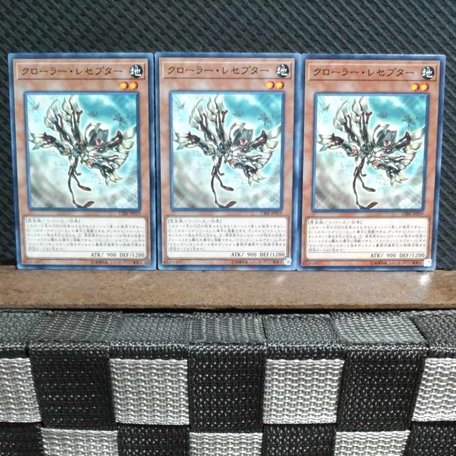 【ぽぽたん】遊戯王 6248 クローラー・レセプター ノーマル 3枚