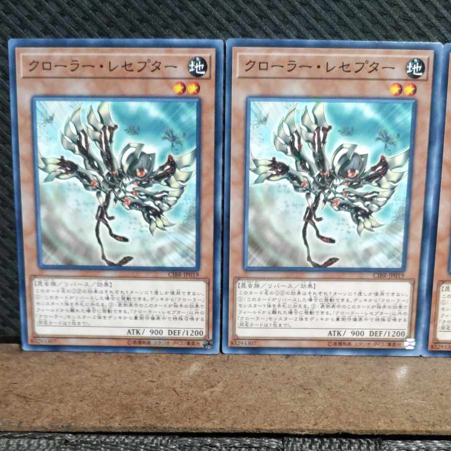 【ぽぽたん】遊戯王 6248 クローラー・レセプター ノーマル 3枚