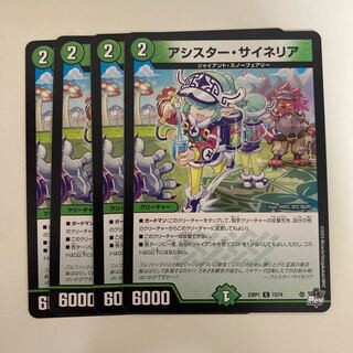 アシスター・サイネリア C 73/74