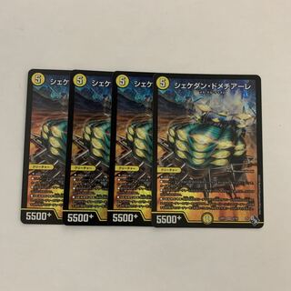 シェケダン・ドメチアーレ SR S2/S8