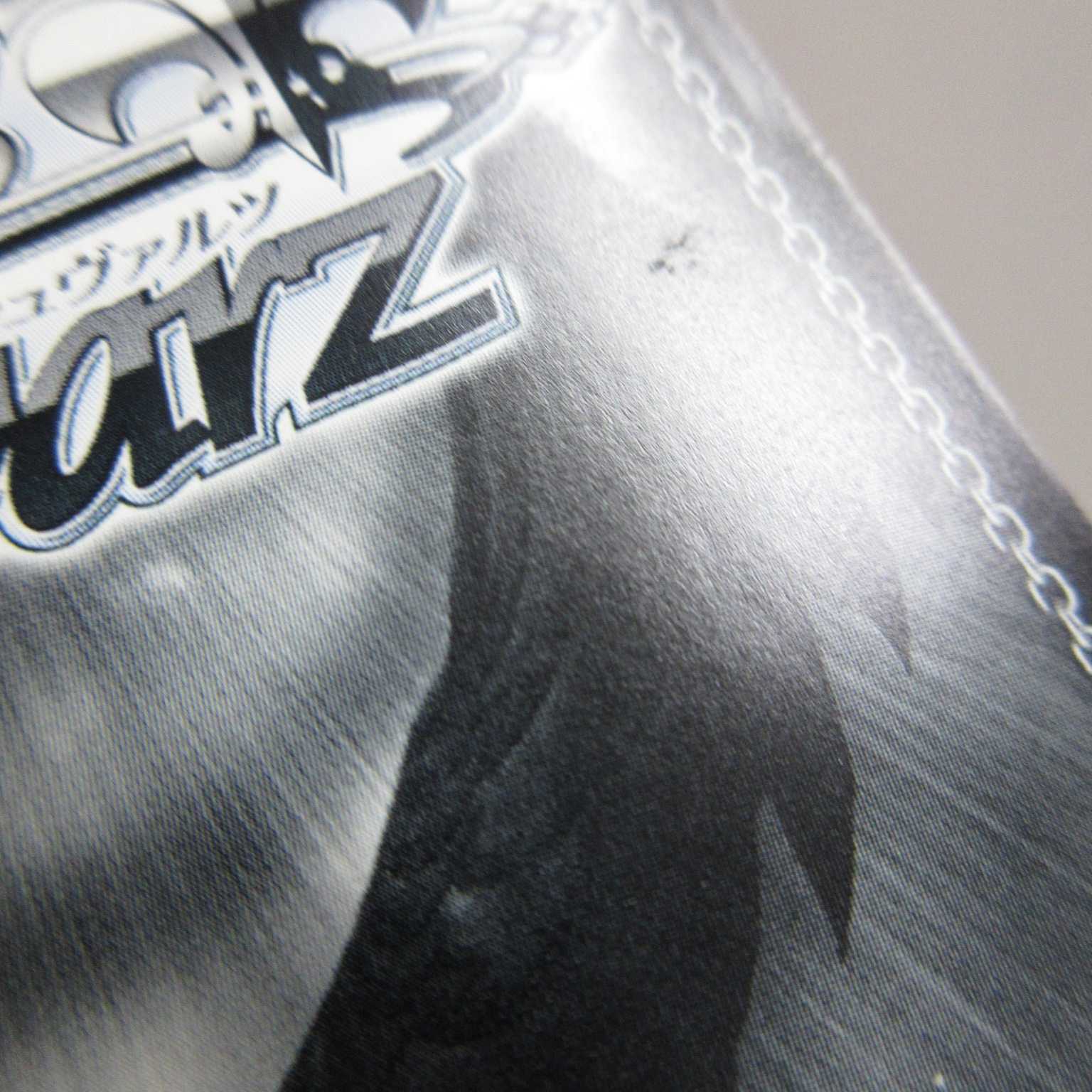 AG0650ヴァイスシュヴァルツAPO/S53-064 差し出す手黒のライダー 1枚