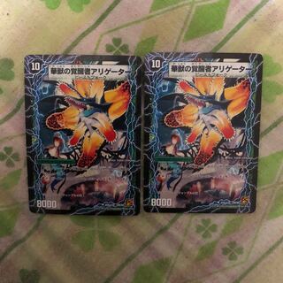 時空の花カイマン華獣の覚醒者アリゲーター