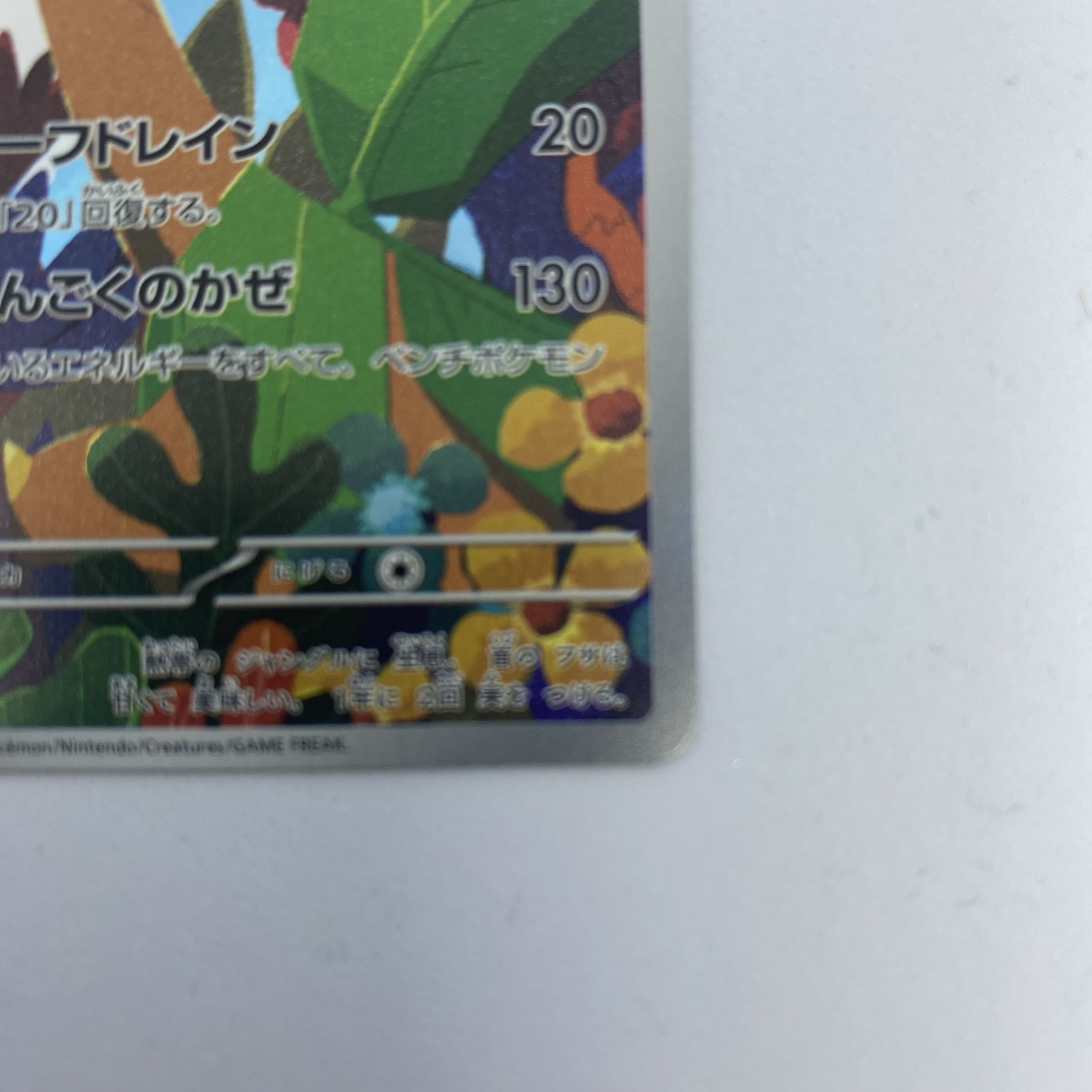 ポケモンカード　トロピウス　AR