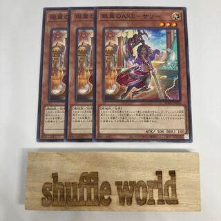 AXE-Sally of the Silver Wings 1231