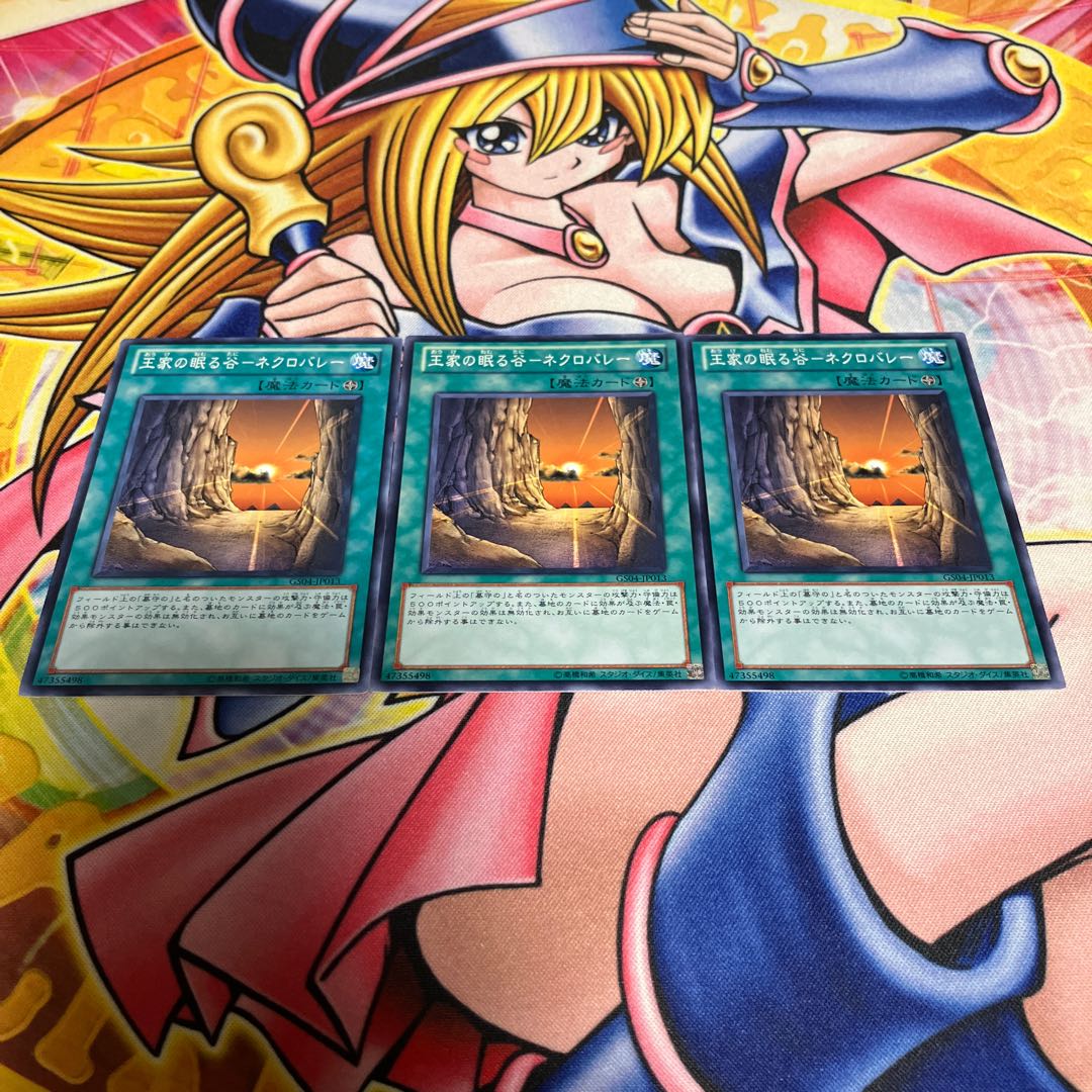 Valley of Sleep of Kings - Necro Valley Normal JP013