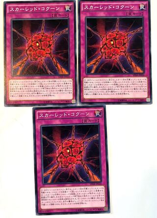 スカーレッド・コクーン 【ノーマル】 JP026