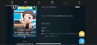 ともいのハイレバロング 1枚