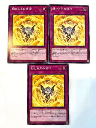 Brand of the Brilliant King [Normal] JP070