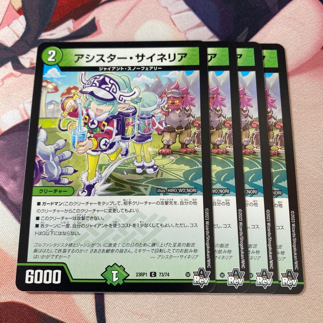 アシスター・サイネリア C 73/74