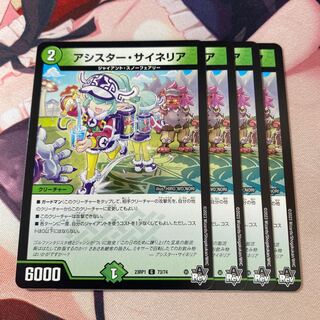 アシスター・サイネリア C 73/74