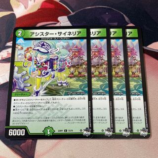 アシスター・サイネリア C 73/74