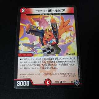 Cocco Bu Lupia R 19/74