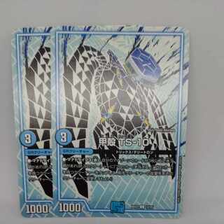 甲殻 TS-10 C 12/25