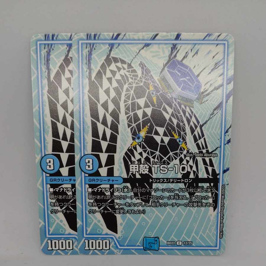 甲殻 TS-10 C 12/25