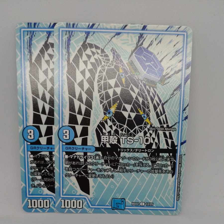 甲殻 TS-10 C 12/25