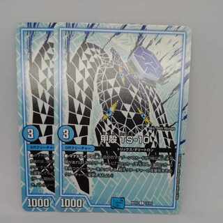 甲殻 TS-10 C 12/25