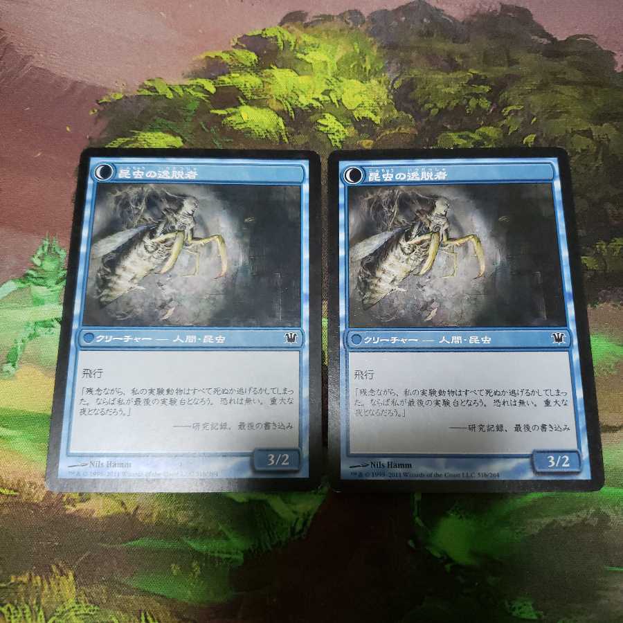 秘密を掘り下げる者2枚【日本語】【ISD】+オマケ