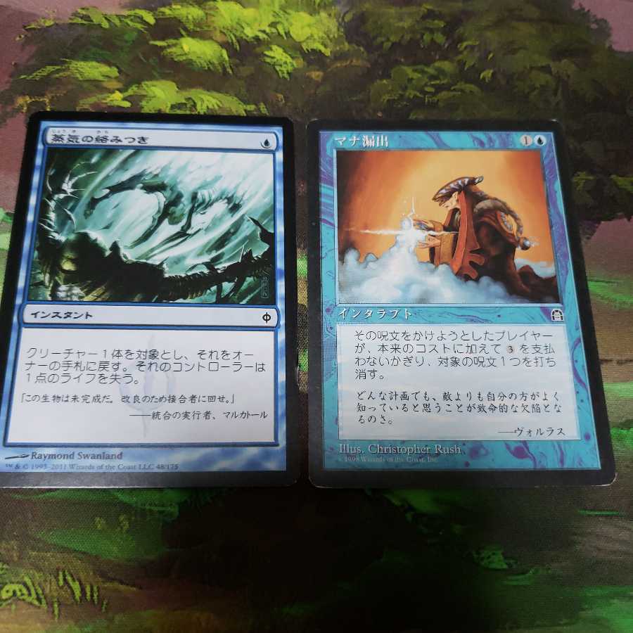 秘密を掘り下げる者2枚【日本語】【ISD】+オマケ