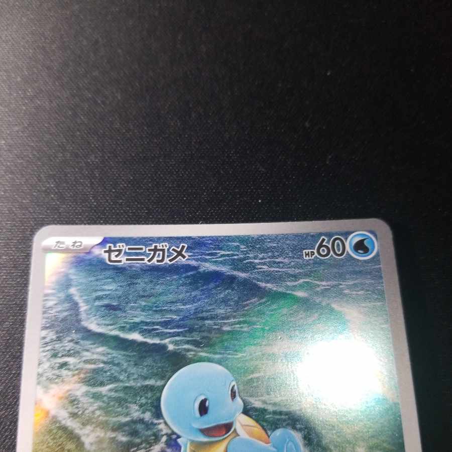 Squirtle AR 170/165
