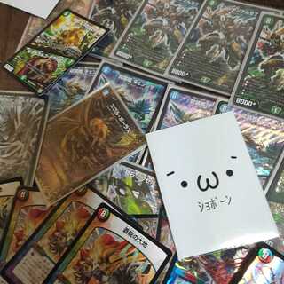 DUEMA retired item!!!! I need it to sell fast, so price reduced.