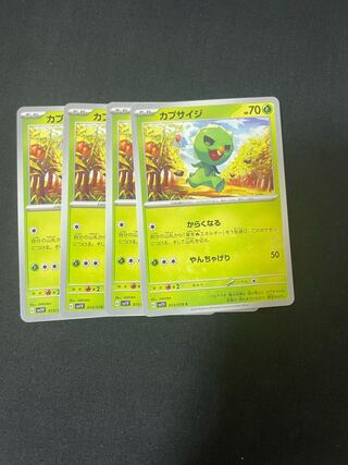 カプサイジ C 013/078